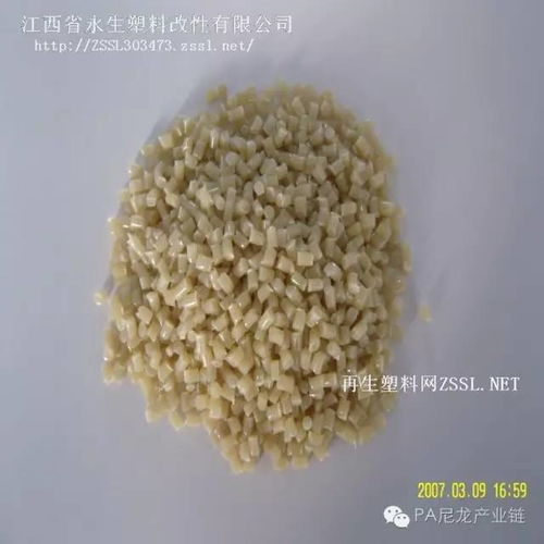 江西省永生塑料改性與您共聚 綠塑黃埔 38期 pa論壇 2018年9月16 18日 上海